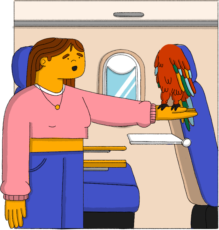 Rosy e Jack sull'aereo