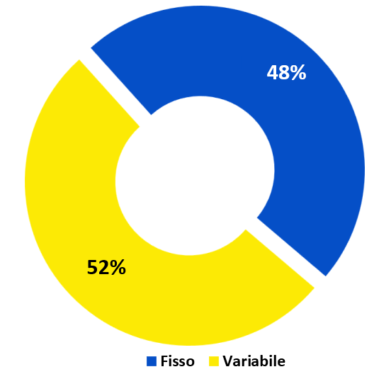 STRUTTURA TASSO DEBITO (93,6% tasso fisso, 6% tasso variabile)