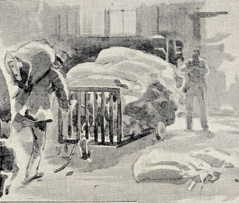 Dettaglio immagine