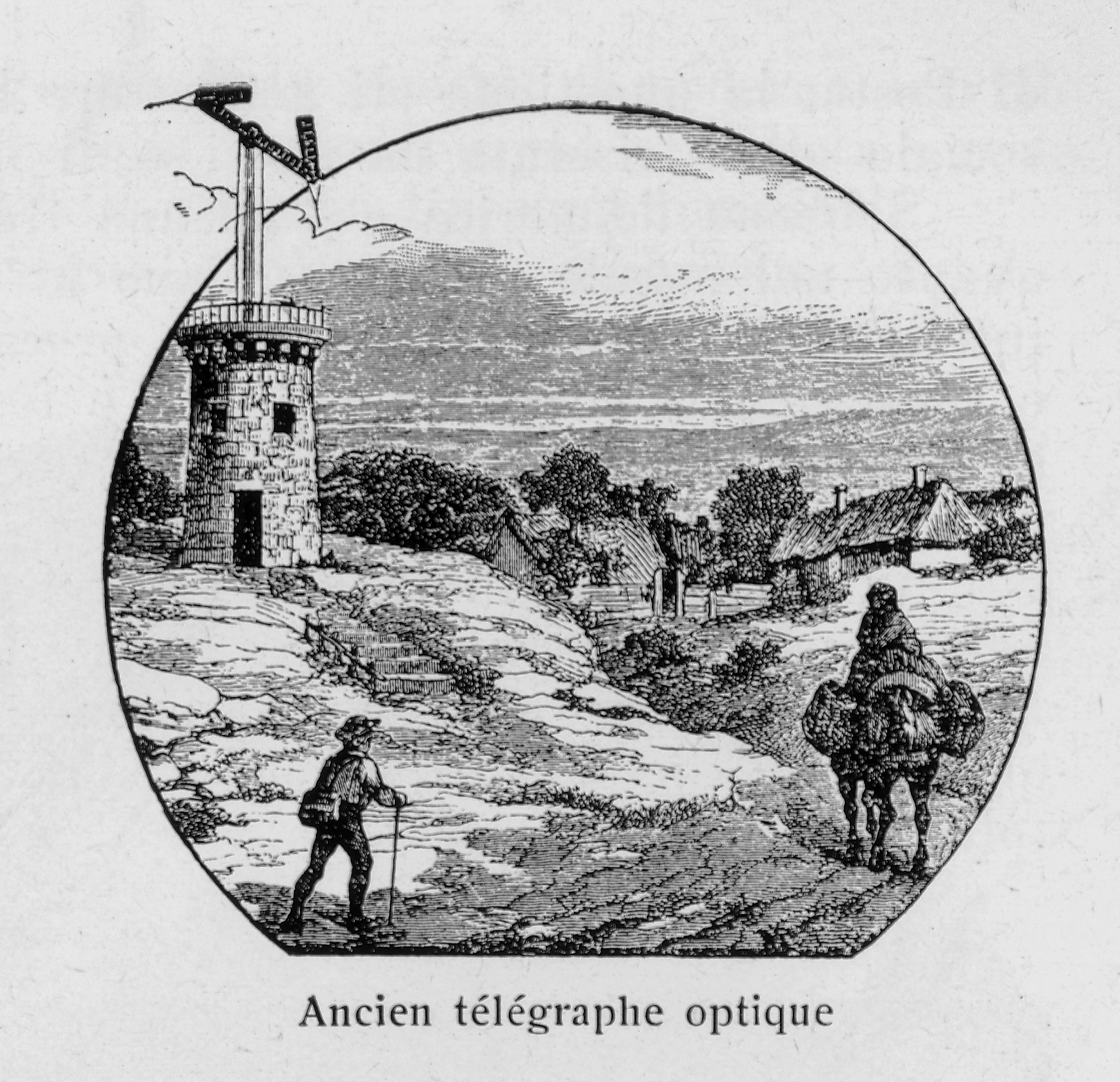 Dettaglio immagine