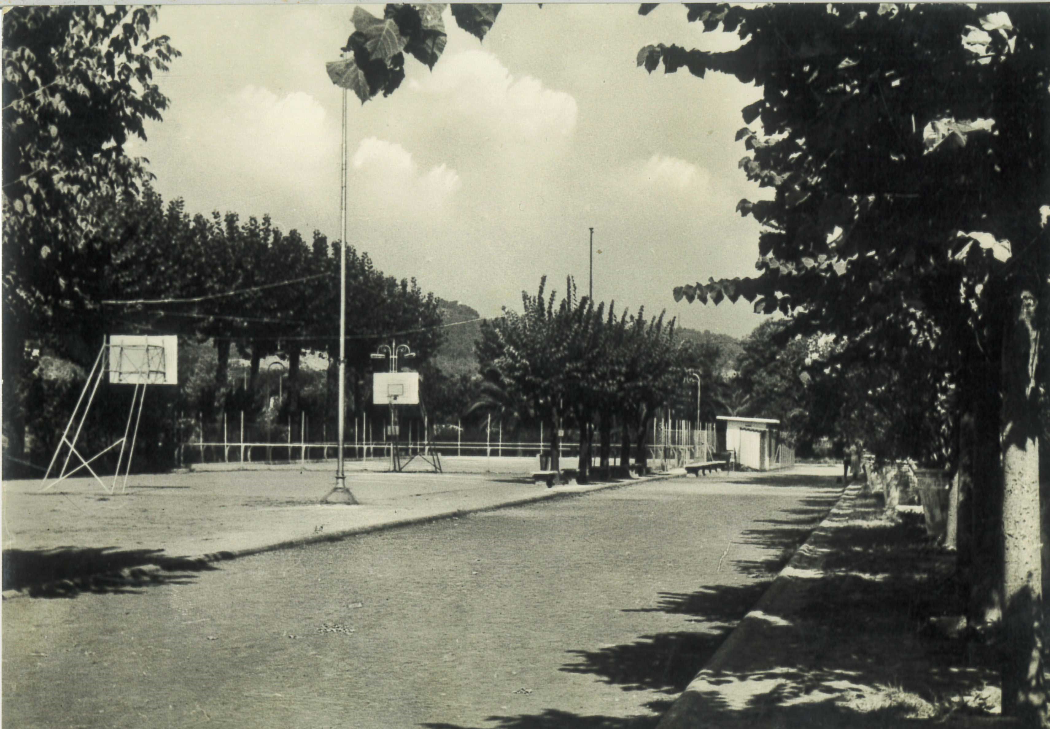 Dettaglio immagine